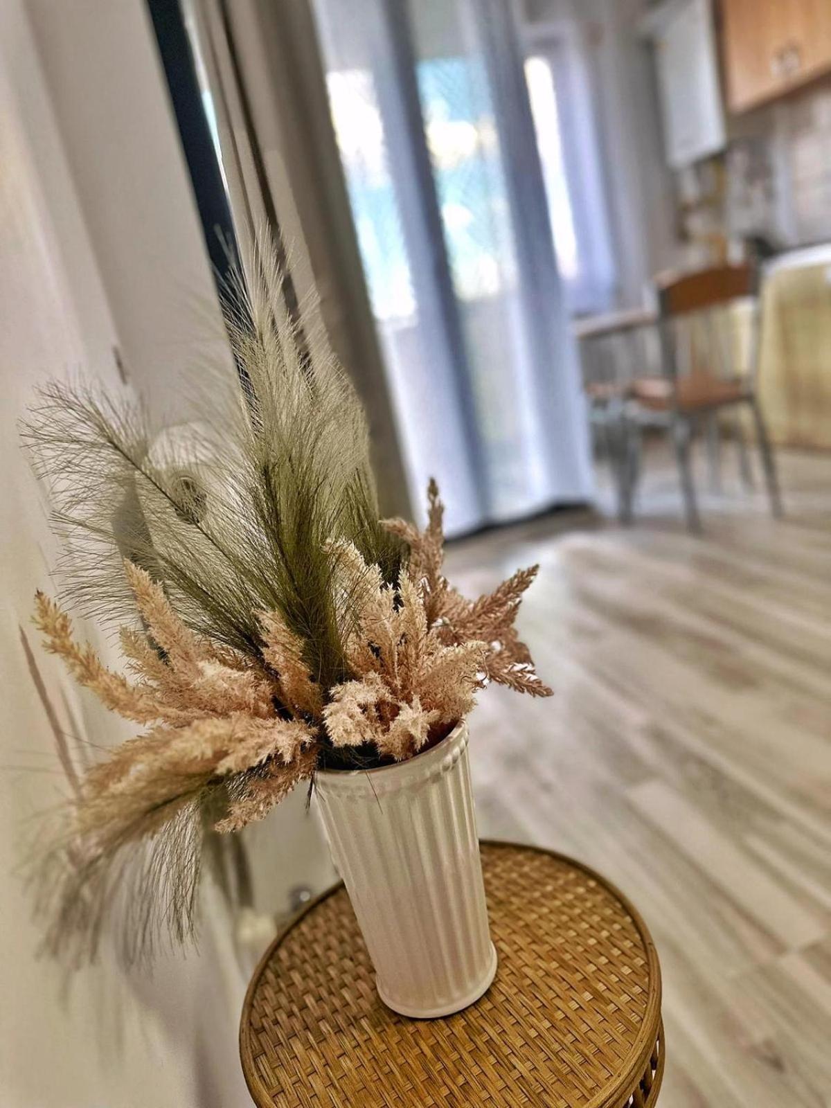 אפורי נורד Jolie Studios & Apartments מראה חיצוני תמונה